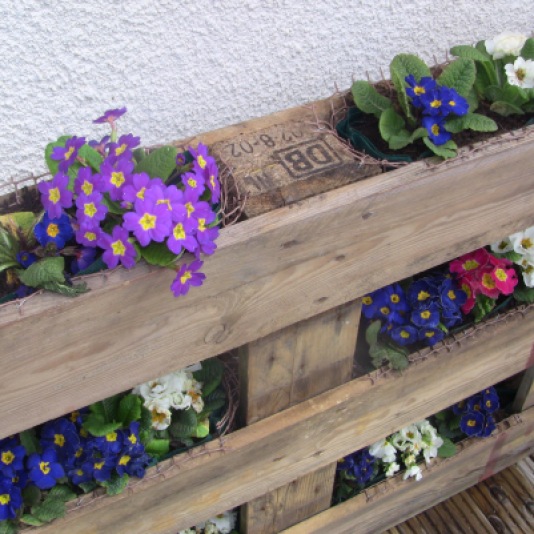 Wooden pallet planted with flowers