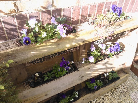 Recycling pallets in the garden