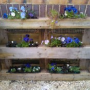 Blue and white flower garden in upcycled pallet